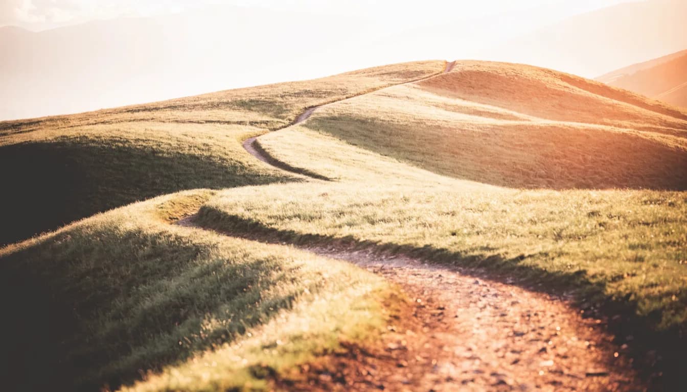 A peaceful path winding through soft green hills at golden hour, suggesting calm, hopeful forward movement after trauma.