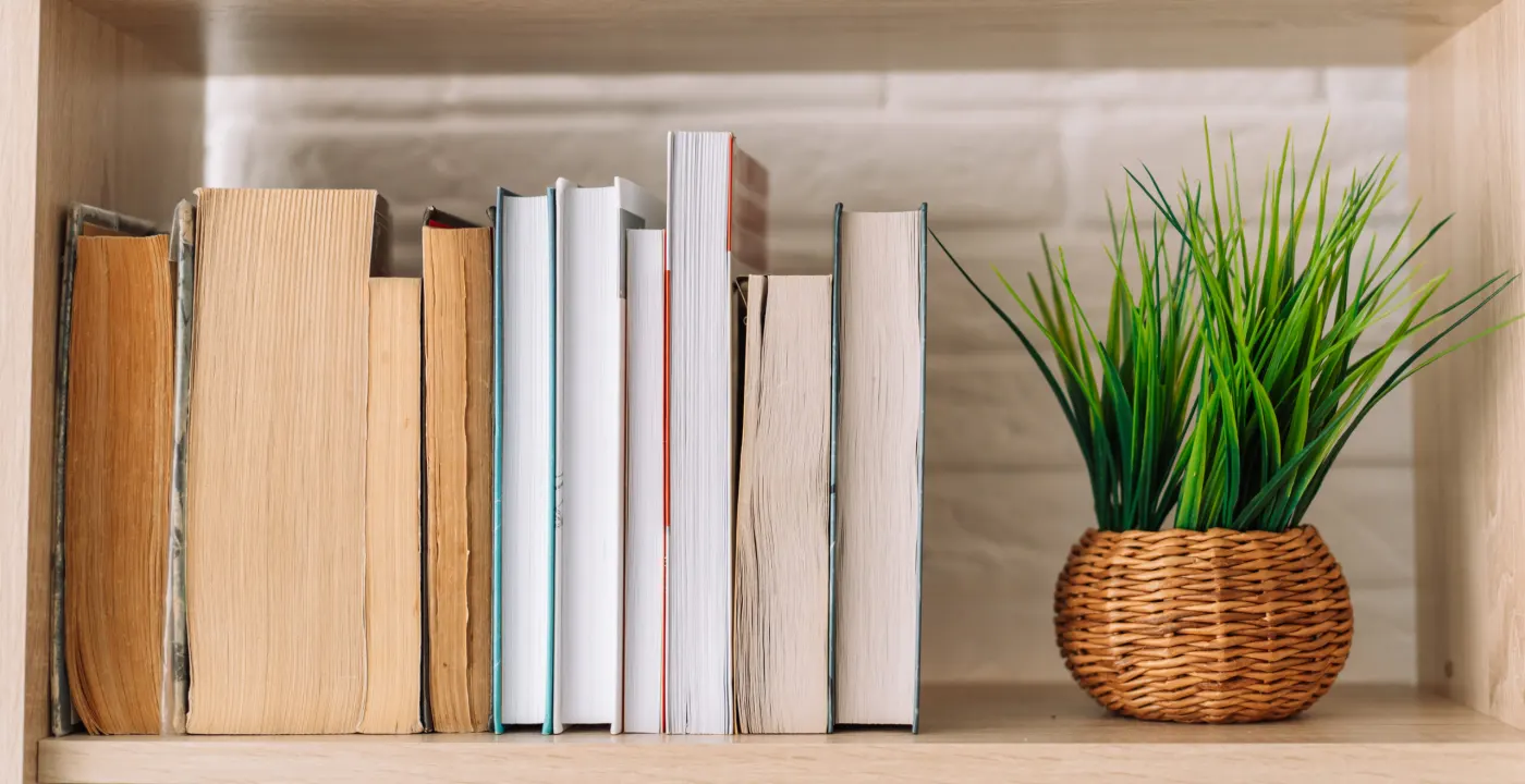 Books standing on a wooden shelf beside a small potted plant